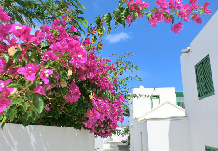 The blue sky of Lanzarote