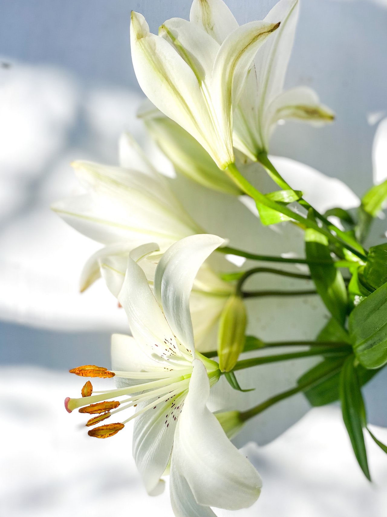 White Lilies Wedding Flowers