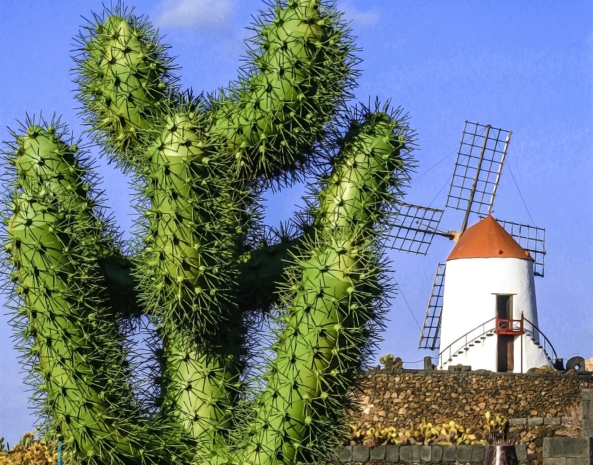 Cactus Gardens, Lanzarote