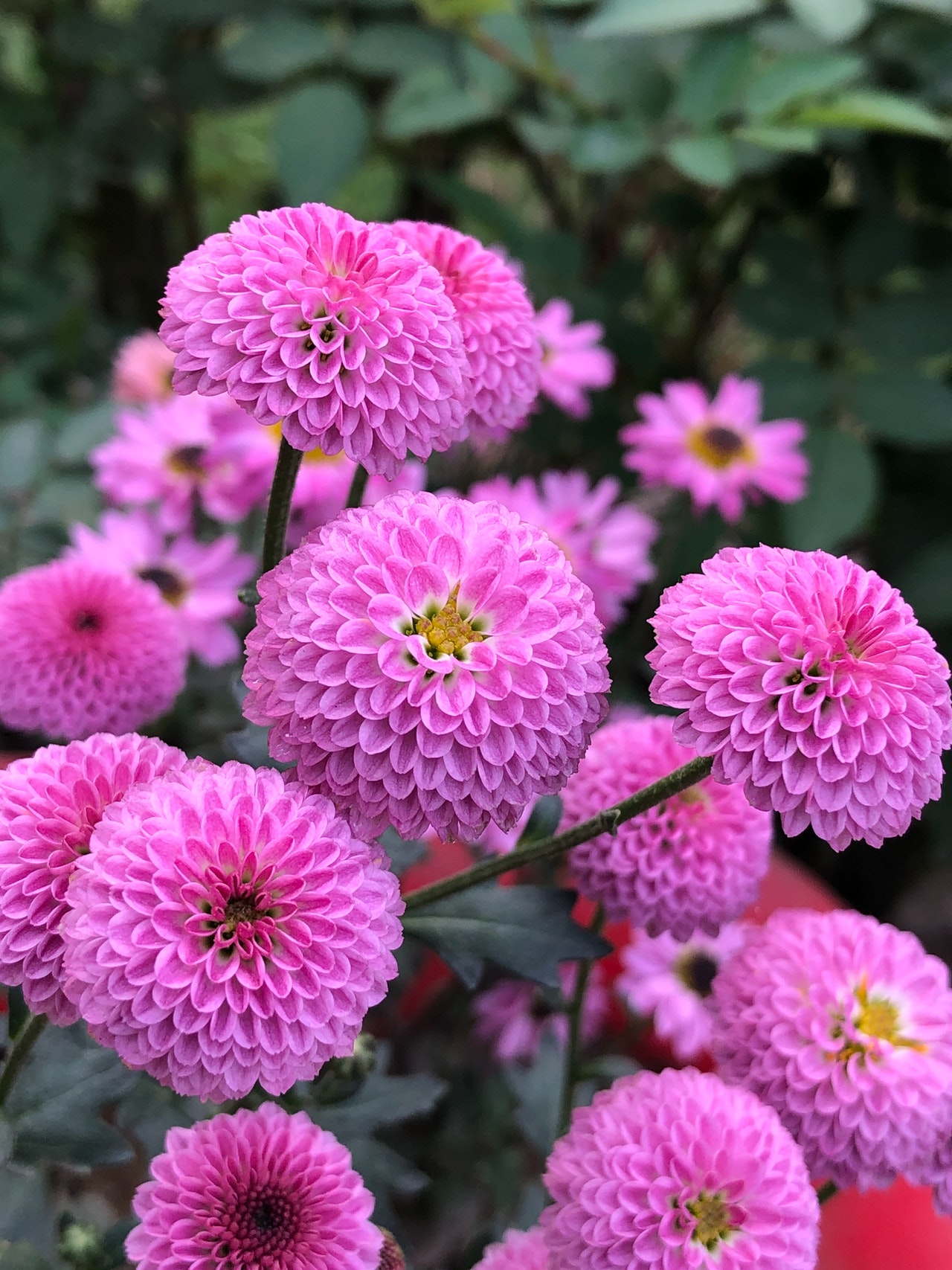 Autumn Wedding Flowers